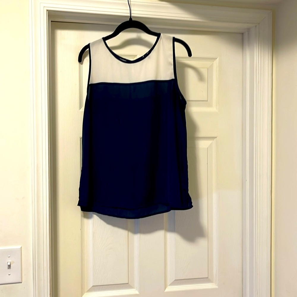Alice Blue Top